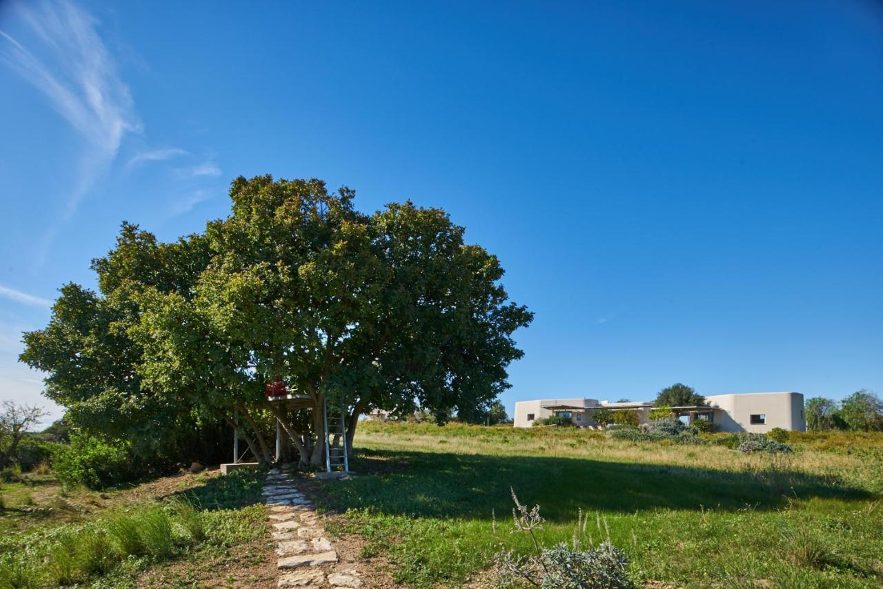 Villa Vendicari Casa Maccari Zewnętrze zdjęcie